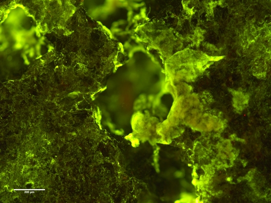 20201111102449560.jpg 20201111102449560.jpg