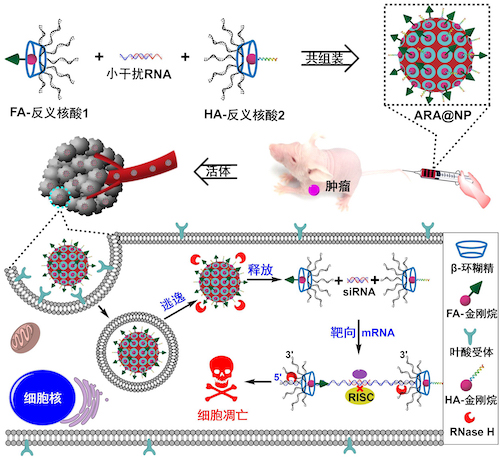 000000.jpeg 000000.jpeg