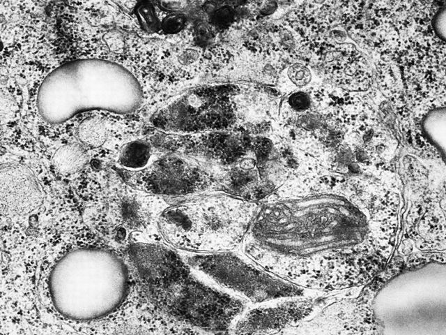 94c69122e51c210f074620.jpg 94c69122e51c210f074620.jpg