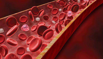 309c23cbab54201daef30f.jpg 309c23cbab54201daef30f.jpg