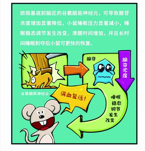 94c69122e51c20bfe36857.jpg 94c69122e51c20bfe36857.jpg