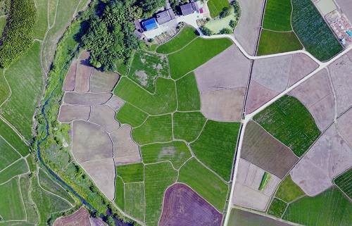 2021111192029260.jpg 2021111192029260.jpg