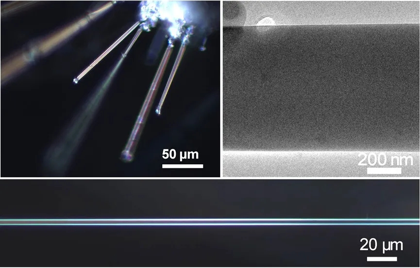 09.webp.jpg 09.webp.jpg