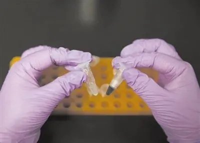 010.webp.jpg 010.webp.jpg