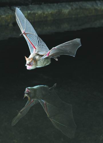 94c69122e51c2183019423.jpg 94c69122e51c2183019423.jpg