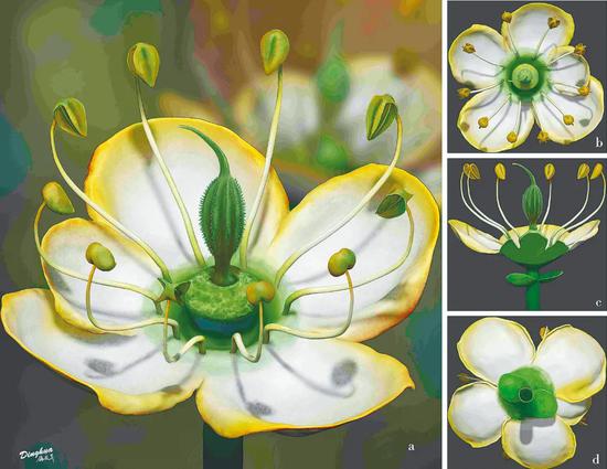 385027_650x650.jpg 385027_650x650.jpg