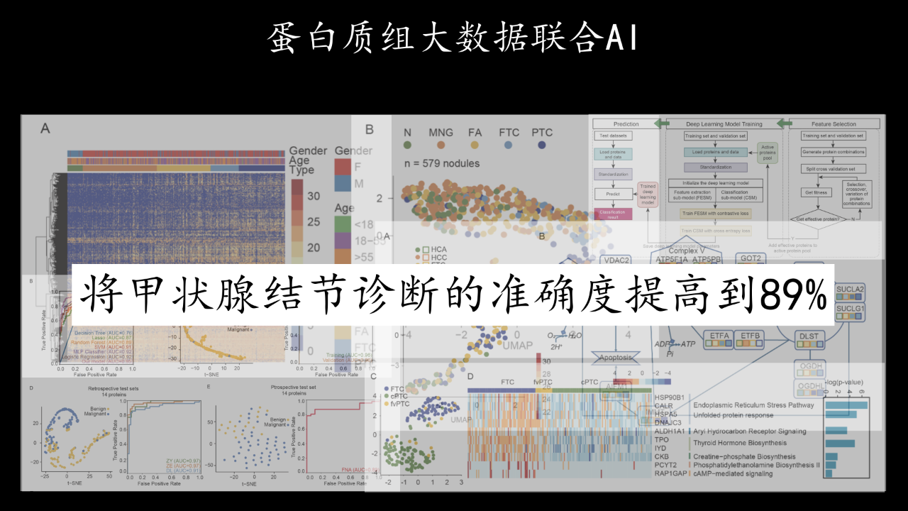 3ac681402e774bc0bb18f4fb0455e067.png