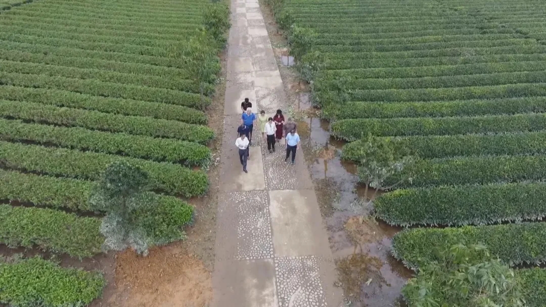 004.webp.jpg 004.webp.jpg