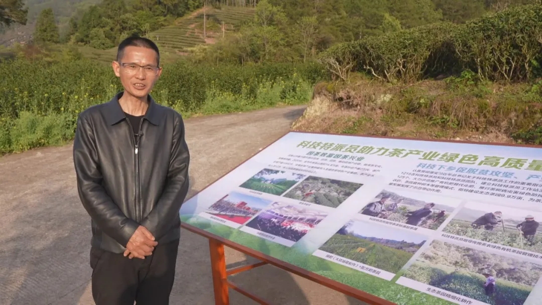 00.webp.jpg 00.webp.jpg