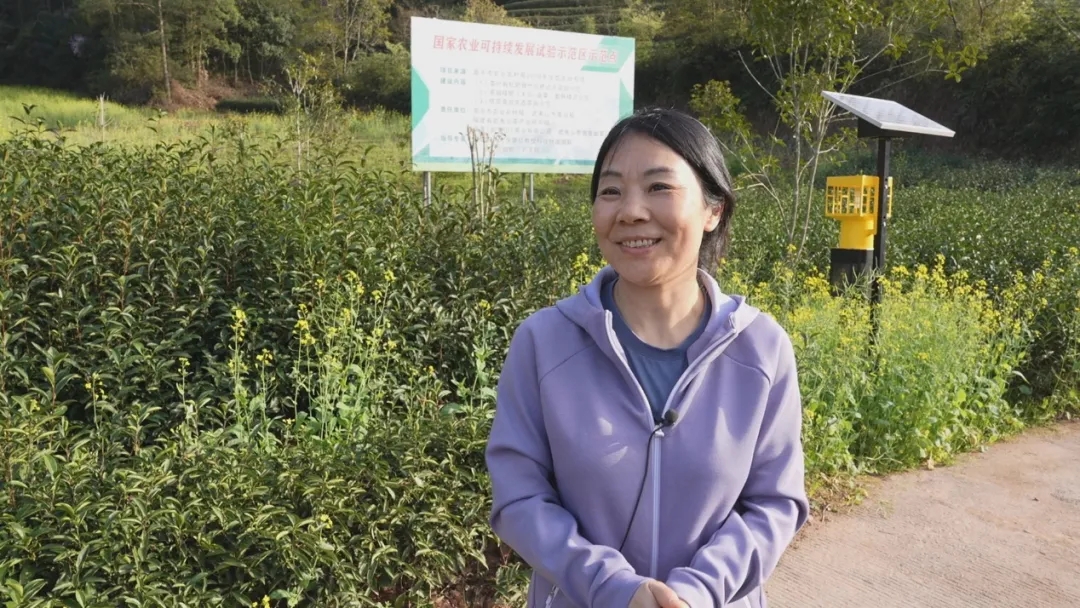 001.webp.jpg 001.webp.jpg