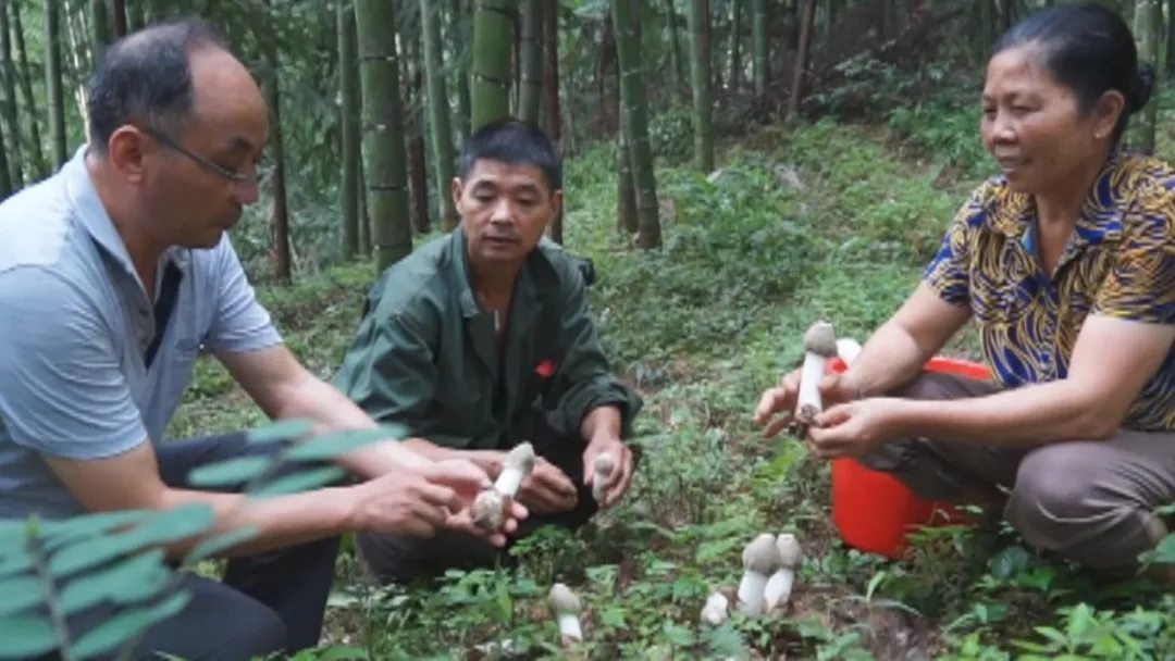 003.webp.jpg 003.webp.jpg