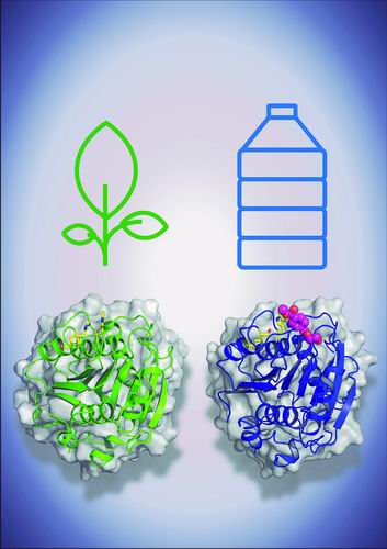 2021521933178470.jpg 2021521933178470.jpg