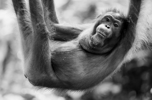 94c69122e51c22be249c30.jpg 94c69122e51c22be249c30.jpg