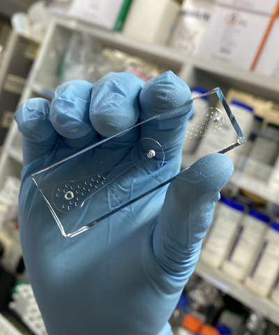 b7b89f733c904842974b37ce0f67e06d.png b7b89f733c904842974b37ce0f67e06d.png