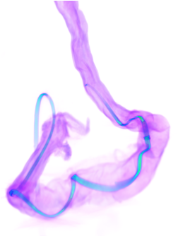 dd564548b8e74ba8aa642bdf478a83b6.png