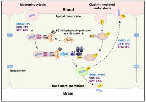 65252f2be4b03b5da6d010ab.jpg 65252f2be4b03b5da6d010ab.jpg