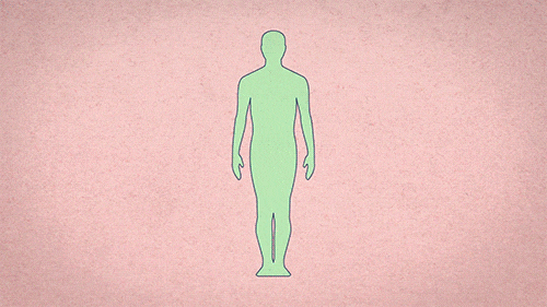 4.gif