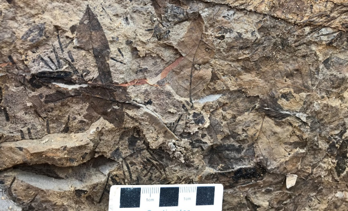 65699a8ae4b03b5da6d0453b.gif 65699a8ae4b03b5da6d0453b.gif