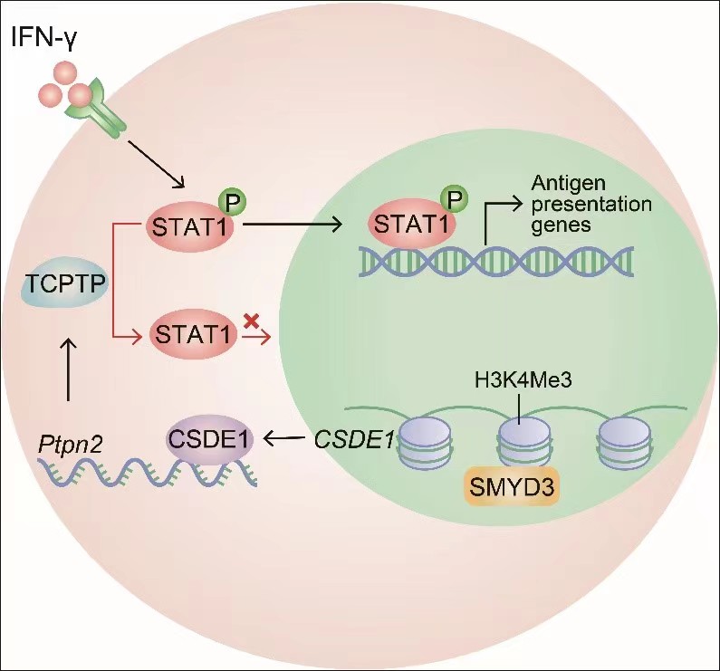 63db12afe4b00d9f0ea08312 (1).jpg 63db12afe4b00d9f0ea08312 (1).jpg