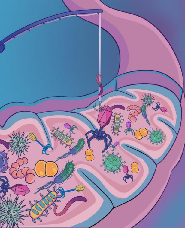 6436cc26e4b00d9f0ea0c49b.png 6436cc26e4b00d9f0ea0c49b.png