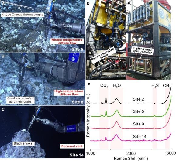 000000.jpg 000000.jpg