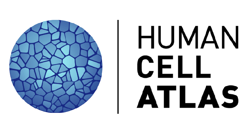 d35a9a5c51dc48b3aab5df44da920288 (1).png d35a9a5c51dc48b3aab5df44da920288 (1).png