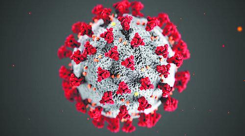 0000000.jpg 0000000.jpg