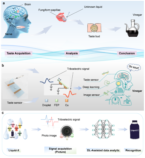 64d9fabbe4b0e807c6f8b598.png 64d9fabbe4b0e807c6f8b598.png