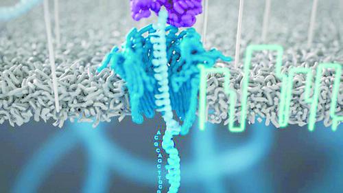 bd375f0ae8a34077b75552301d596ff2 (1).jpg bd375f0ae8a34077b75552301d596ff2 (1).jpg