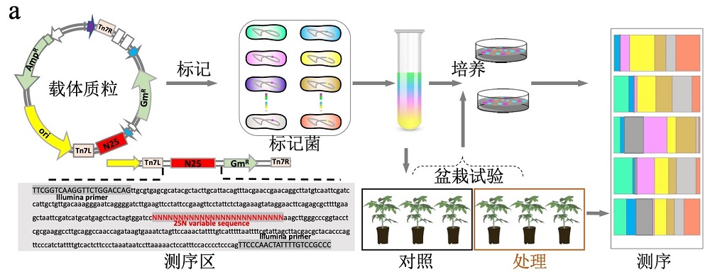 000000000000.jpg 000000000000.jpg