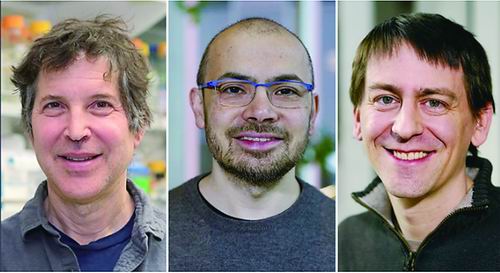 67071594e4b03b5da6d181c0.jpeg 67071594e4b03b5da6d181c0.jpeg