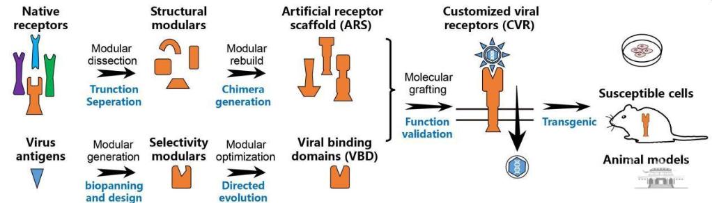 202411015491adcd195247549b6582f0e3b256e1_e35fbc05ccf747cf84271c8662129b32.jpeg 202411015491adcd195247549b6582f0e3b256e1_e35fbc05ccf747cf84271c8662129b32.jpeg