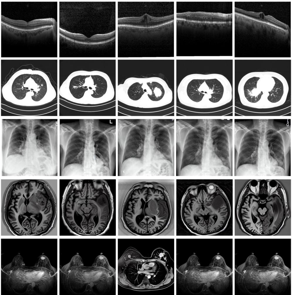 202412181689d358f5cb4238b1e3c0cda30c409e_a6261367deb9446486c368c40684c3db.jpg 202412181689d358f5cb4238b1e3c0cda30c409e_a6261367deb9446486c368c40684c3db.jpg