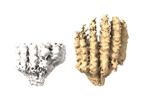 afb508deba384fc291b51e6cbeec0427.png