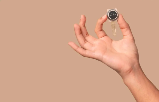 242229096f3c423cad9c757f689f83c3.png 242229096f3c423cad9c757f689f83c3.png