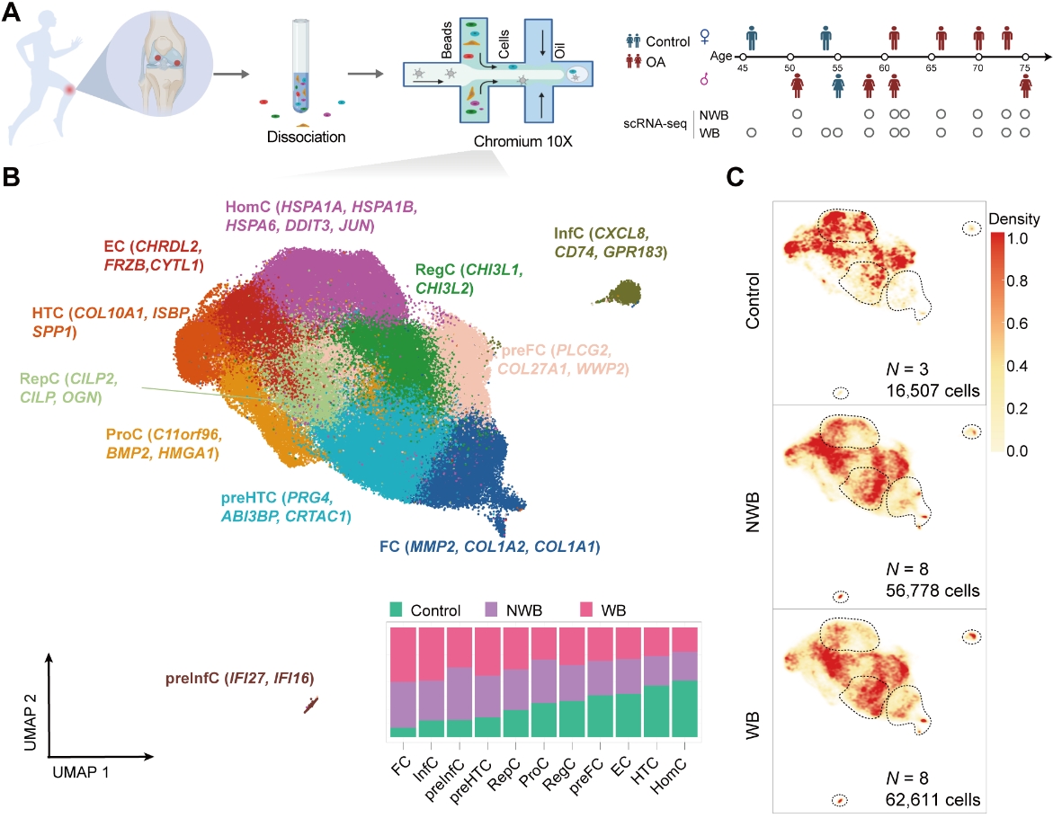 000000.jpg 000000.jpg