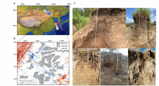 000000.gif 000000.gif