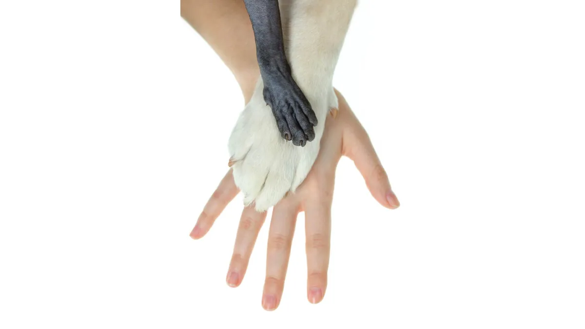 18.png