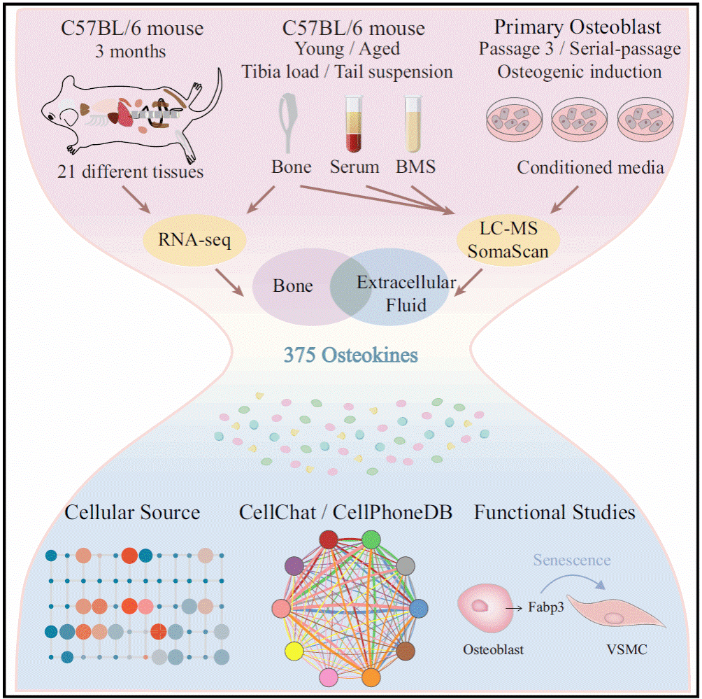 664c0463e4b03b5da6d0f280.png 664c0463e4b03b5da6d0f280.png