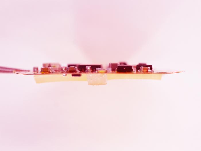 523a3c7d44014d909147bc74ad7de4c9.png