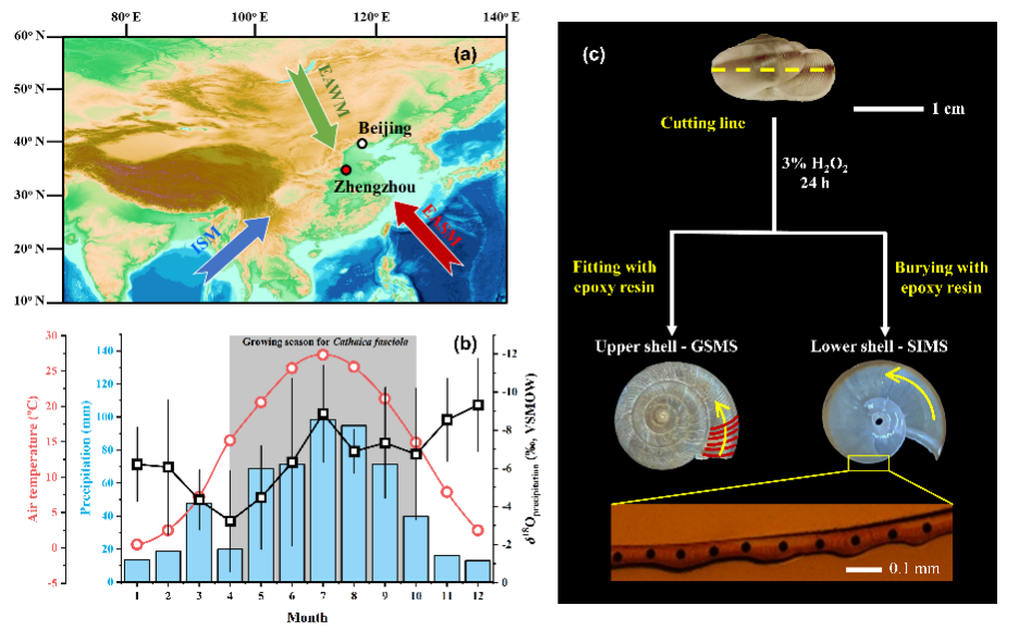 66a8fe58e4b03b5da6d13e84.png 66a8fe58e4b03b5da6d13e84.png