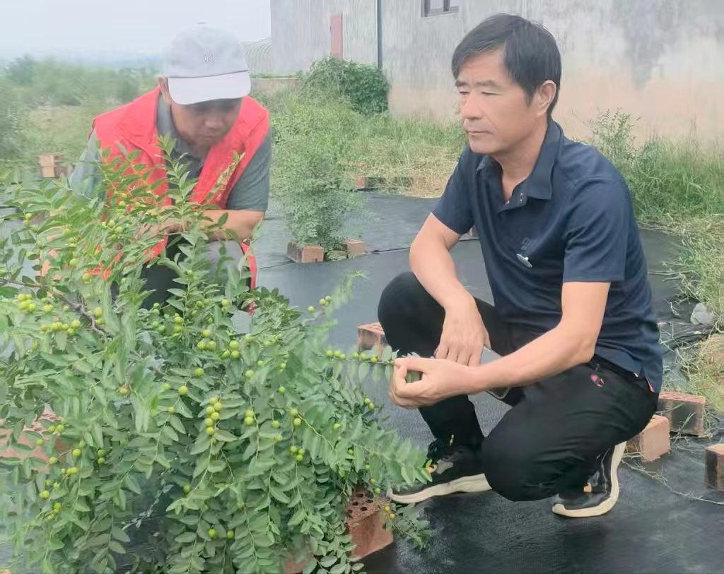 微信图片_20251021092237_128_1.jpg
