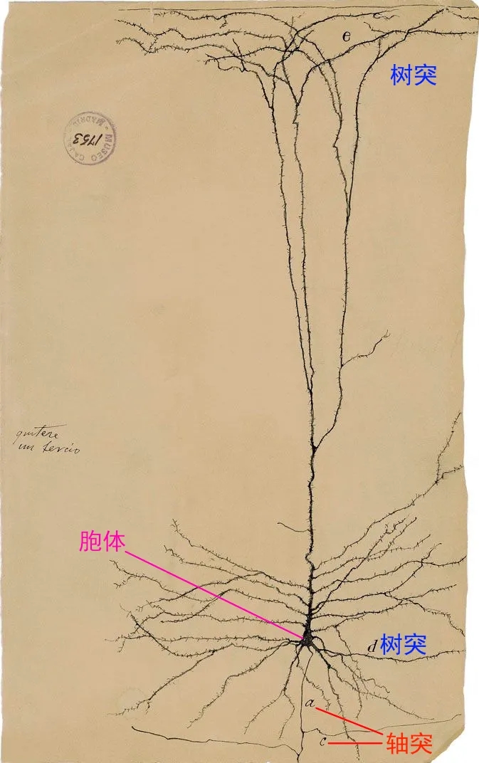 003.webp.jpg 003.webp.jpg