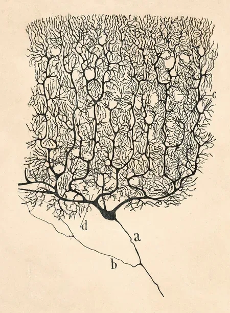 005.webp.jpg 005.webp.jpg