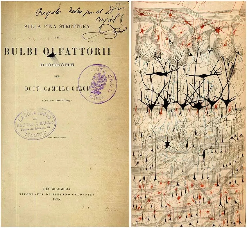 000000.webp.jpg 000000.webp.jpg