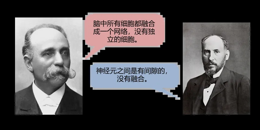 007.webp.jpg 007.webp.jpg