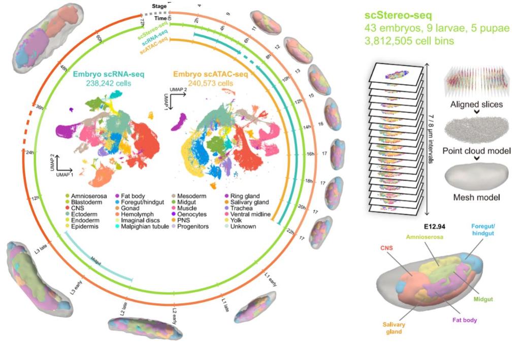 0000000000000.jpg 0000000000000.jpg