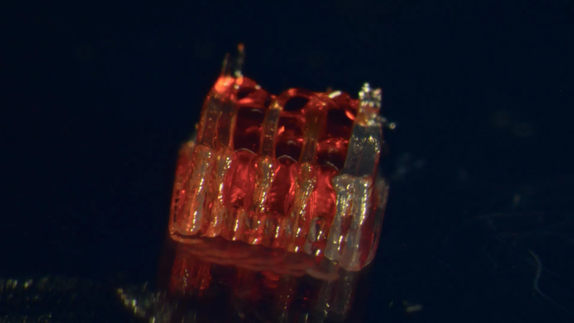 00000000000000000000000.png 00000000000000000000000.png